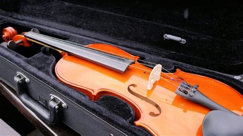 Custodie per violino: quali sono le migliori, classifica e prezzi